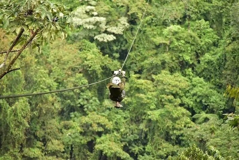 a couple people in a zip line
