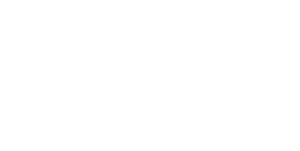 Fiserv logo white