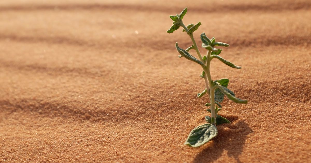 Don’t punish your employees for taking care of your customers: Bring adaptability into your contact center