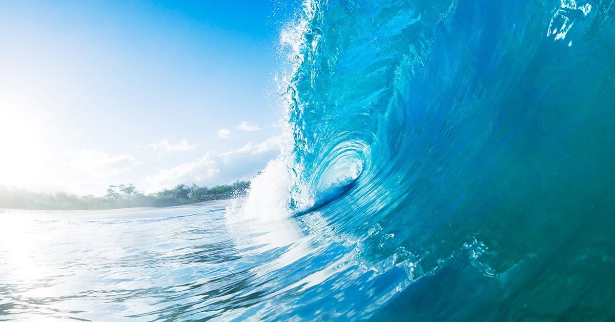 Top 5 things you need to do to ride the AI innovation wave