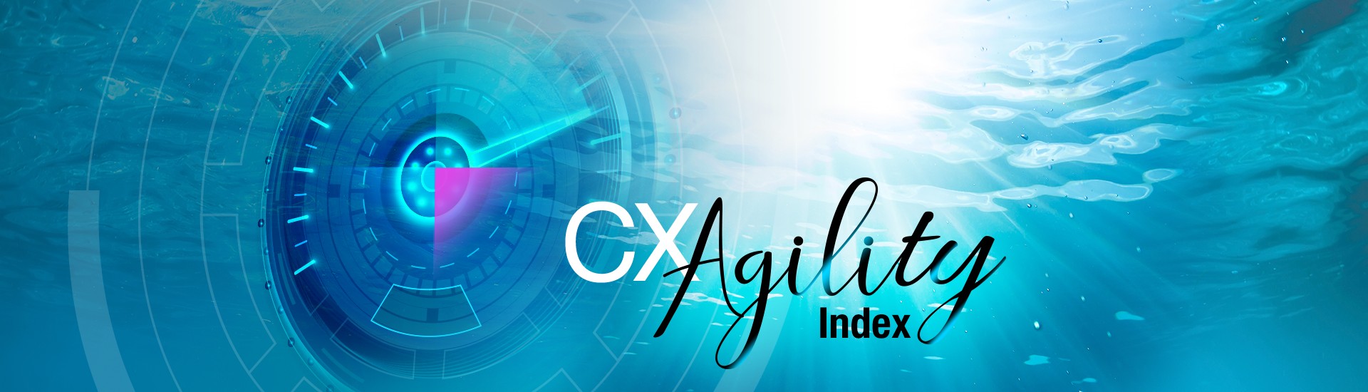 CX Agility Index